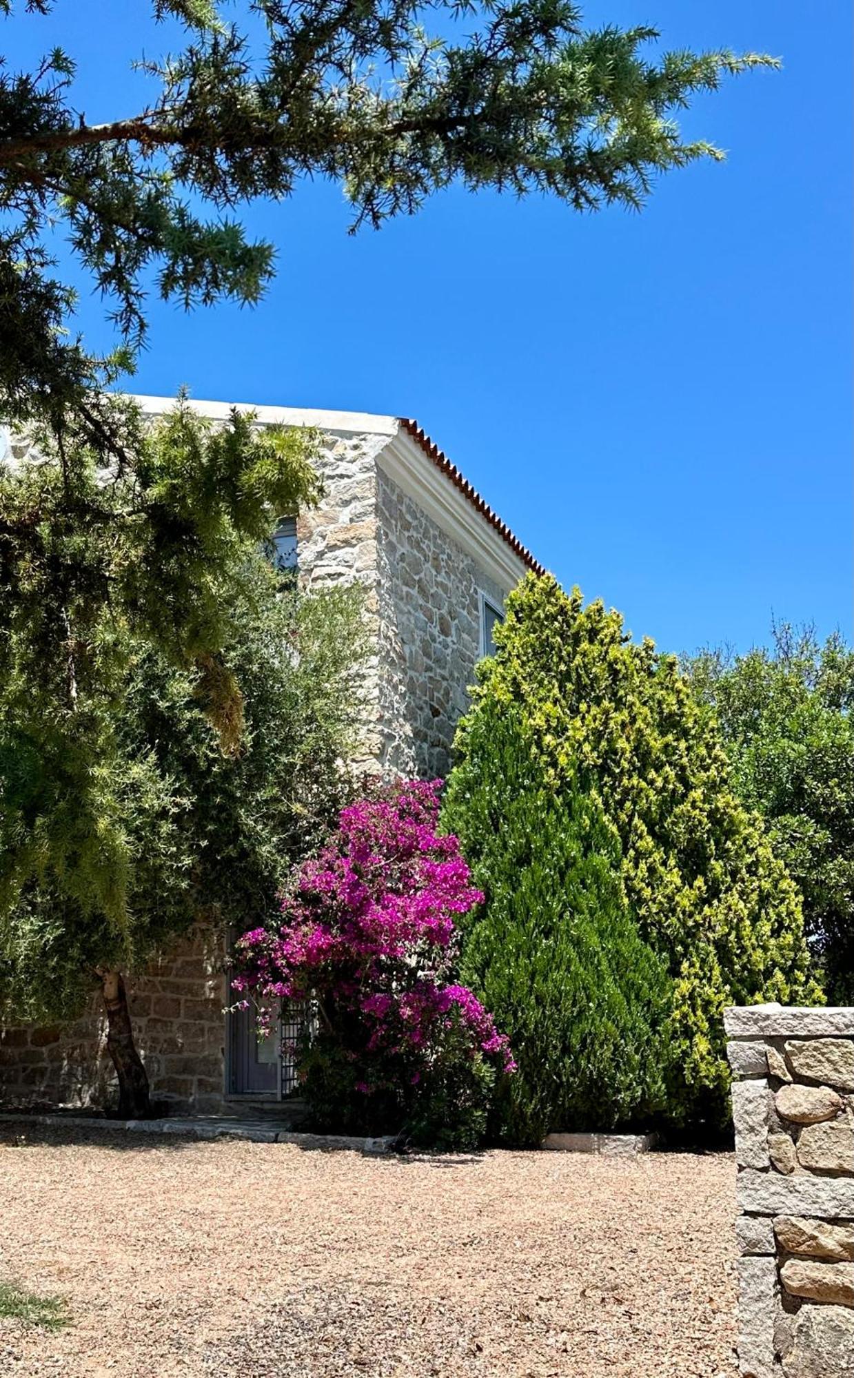 Villa Maria Cristina Santa Teresa Gallura Exteriér fotografie